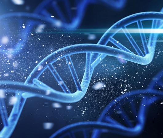 Μοριακής Γενετικής